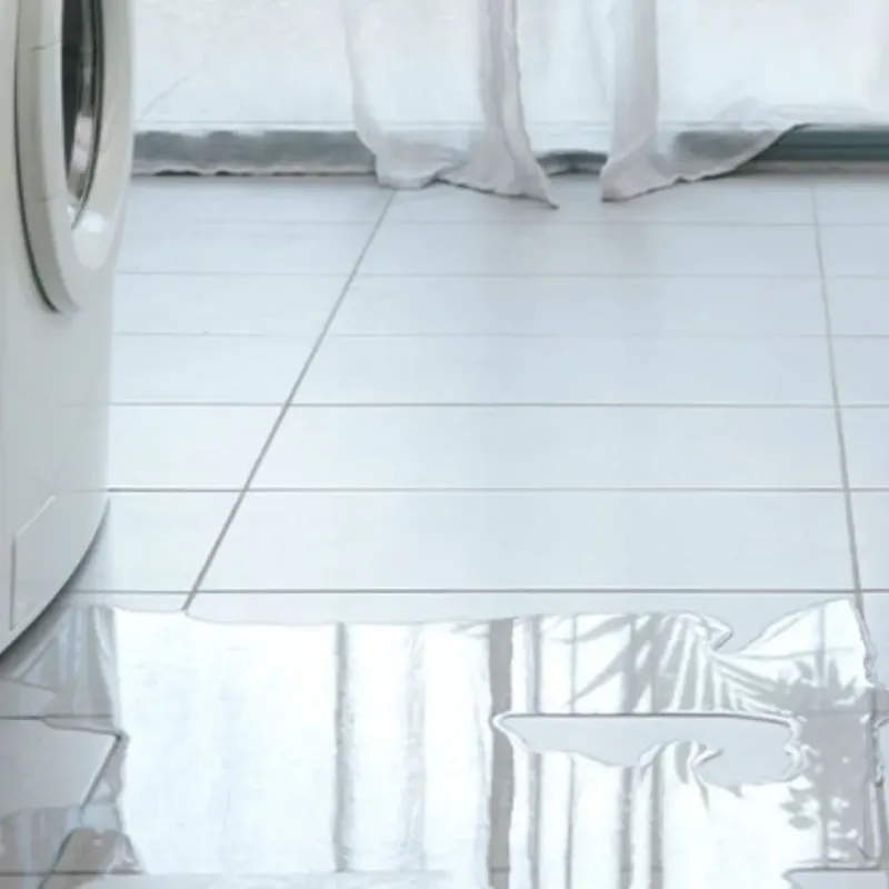 Appliance Leak Cleanup in Lincolnwood, IL