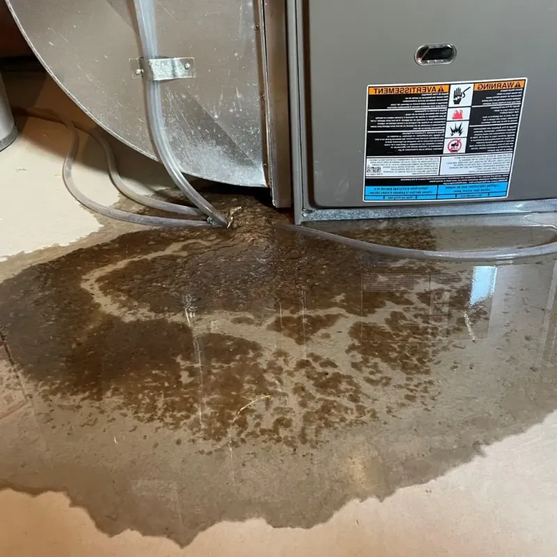 Pipe Burst and Leak Restoration in Lincolnwood, IL